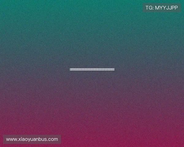 骨折治疗的新进展与康复方法探索：从早期干预到个性化恢复策略